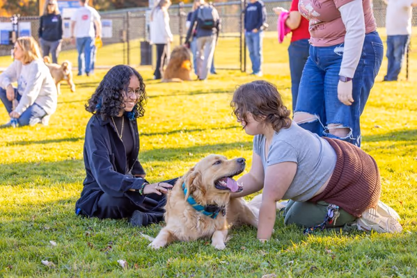 University Dog Park photo 1